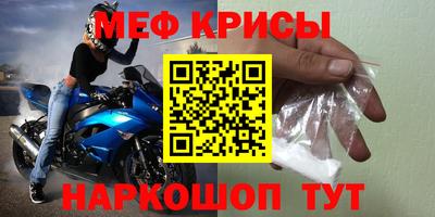 индика Гатчина