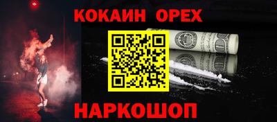 индика Гатчина