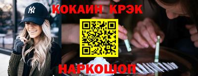 индика Гатчина