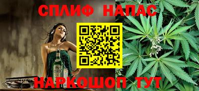 индика Гатчина