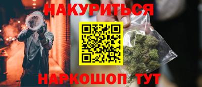 индика Гатчина