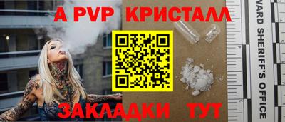 индика Гатчина