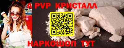 индика Гатчина