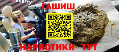 индика Гатчина
